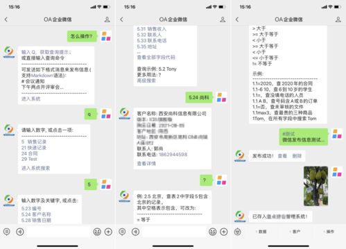 自定義管理軟件 藍點通用管理系統教程 數據管理 信息交互 流程審批,搭建云端管理系統,簡約靈活自由定制,零代碼開發平臺