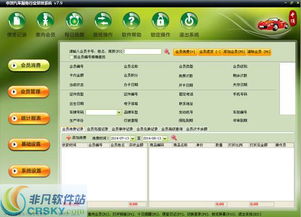 中頂汽車服務(wù)管理軟件界面預(yù)覽 中頂汽車服務(wù)管理軟件界面圖片