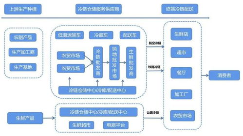 農產品冷鏈物流發展淺析,價值鏈再造