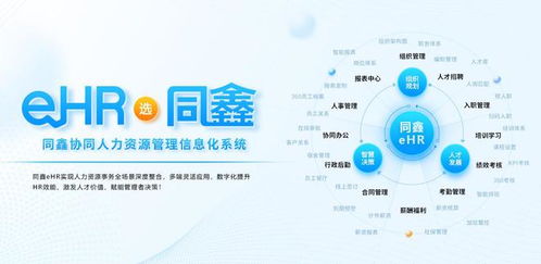 國內有能做泰國hr考勤系統的廠商嗎